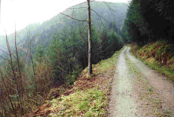 track 80 m below the point, view south, further up the track