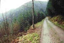 #2: track 80 m below the point, view south, further up the track