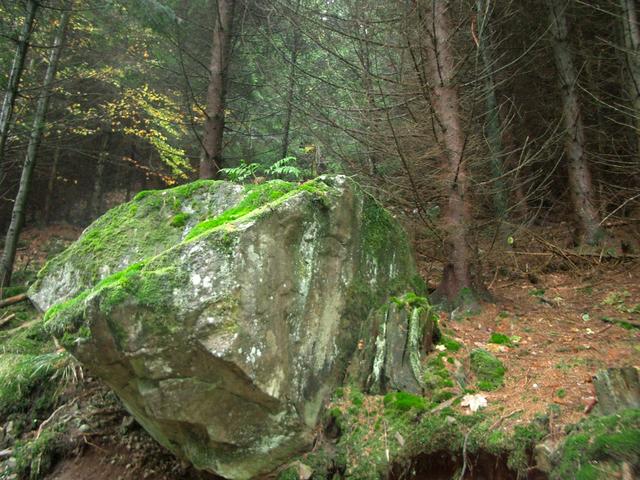 View South - a rock and uphill