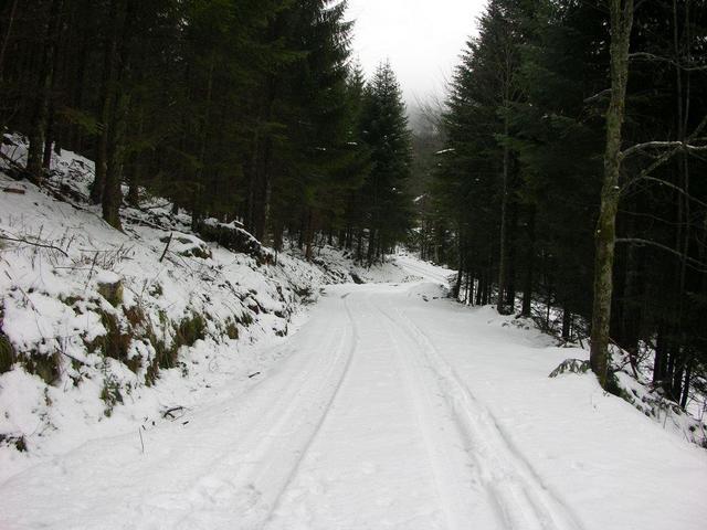 View in eastern direction / Blick in östliche Richtung