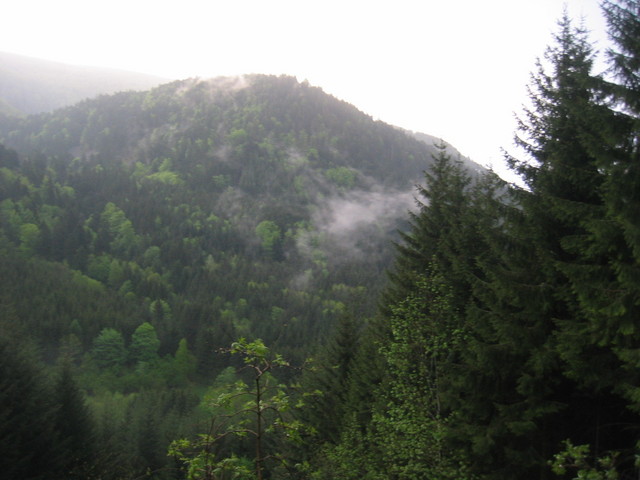 The Confluence from 90 m