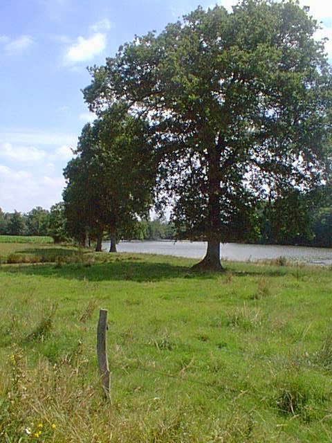 The confluence is at the far end of the lake