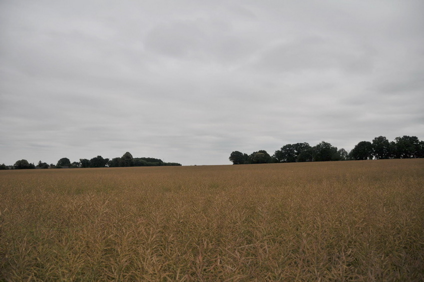 View west / Blick nach Westen