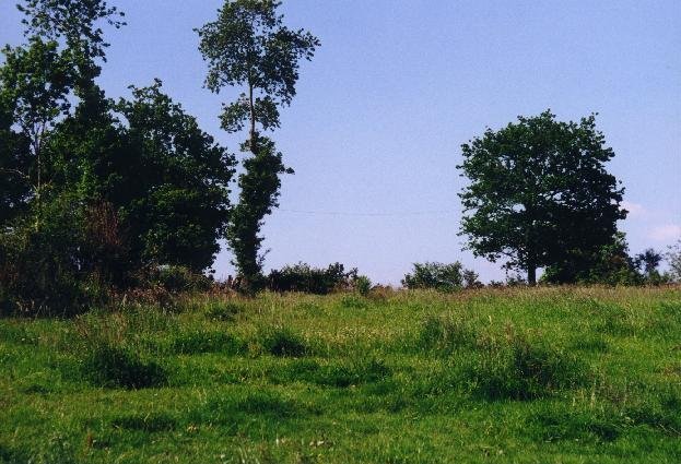 Field to road to the north