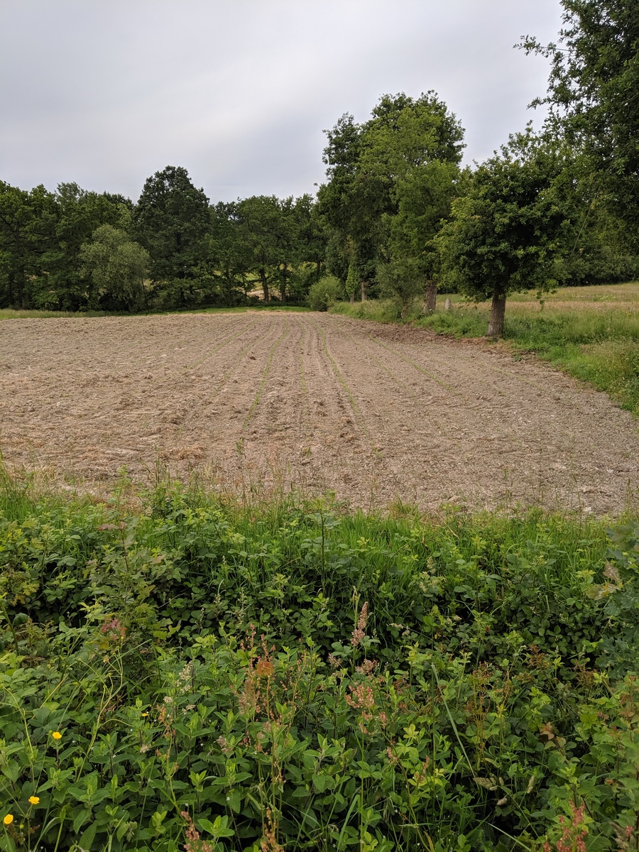 Looking from the road toward the confluence