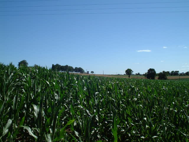 View from the confluence towards West