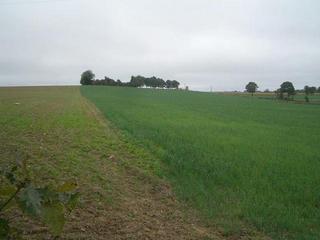 #1: the confluence at right in the field, looking South