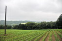 #4: View south / Blick nach Süden