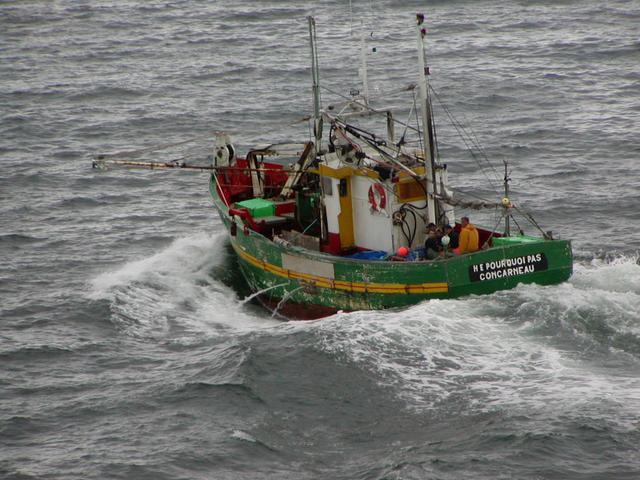 Sardine fishing boat