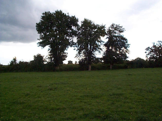 Looking across the field to the confluence in the cornfield