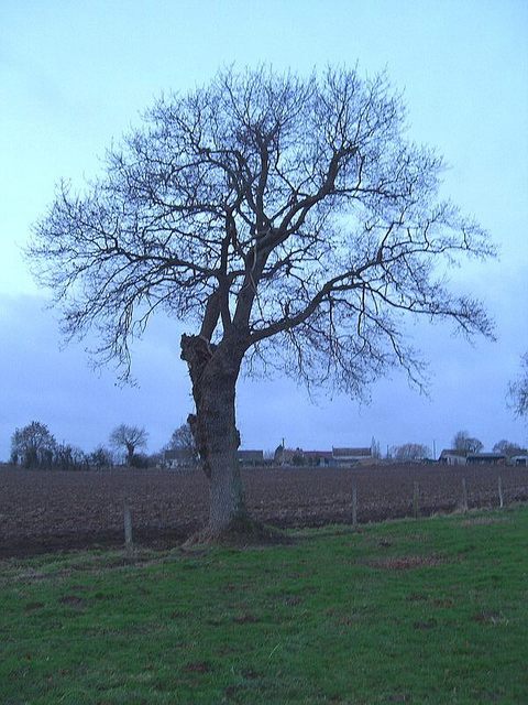 View to the confluence point / Der Blick zum Confluence-Punkt