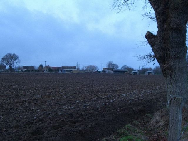 View north / Blick nach Norden