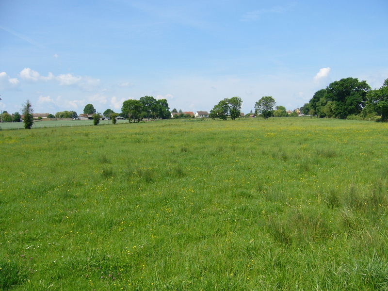 West: meadow