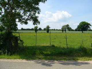 #1: View towards the CP in the meadow, 110 metres away