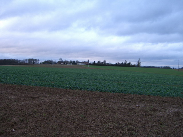 View north / Blick nach Norden