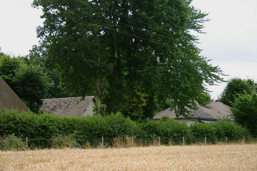 Farmhouses next to the CP field