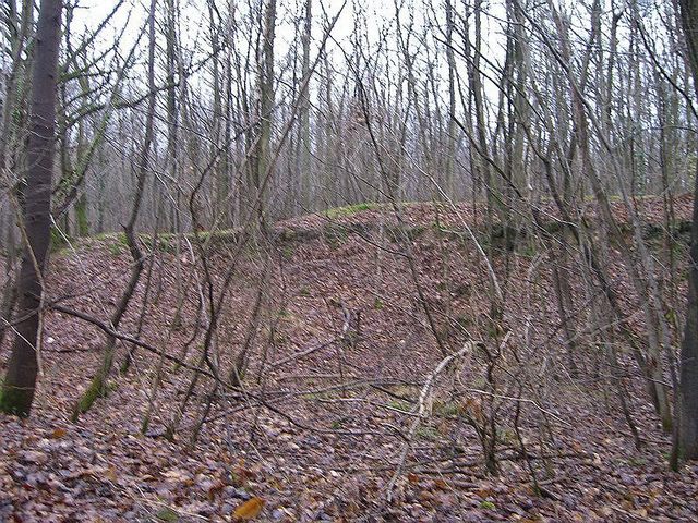 View north / Blick nach Norden