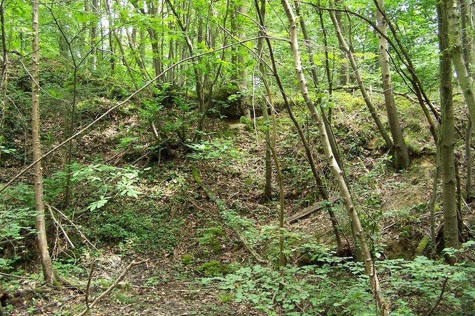 General view of the confluence (towards E)