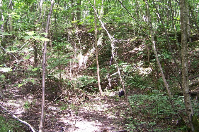 View towards N from the confluence