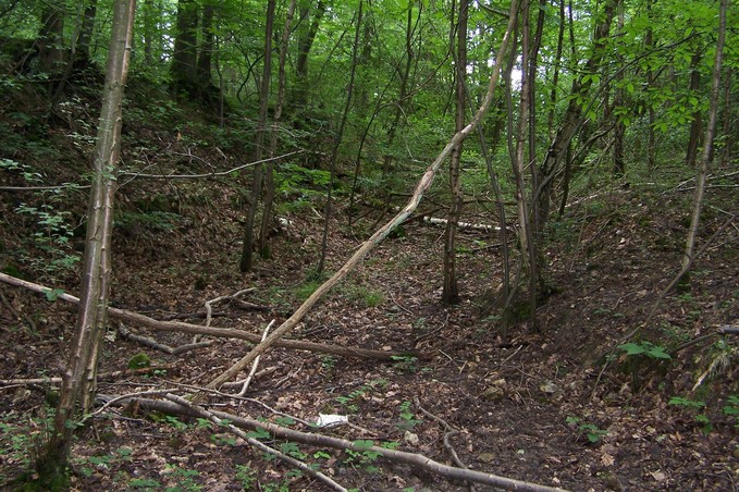 View towards S from the confluence