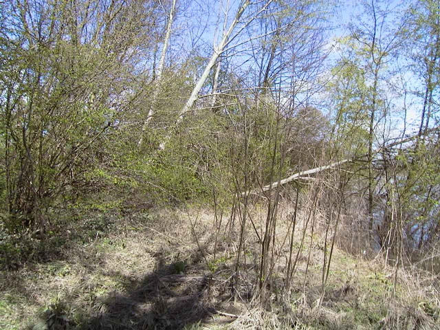 Looking towards the confluence spot, in the mud