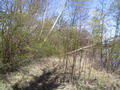 #3: Looking towards the confluence spot, in the mud