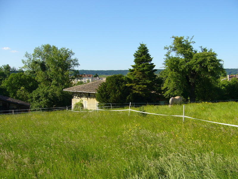 CP 80 metres North of me (church in my back)