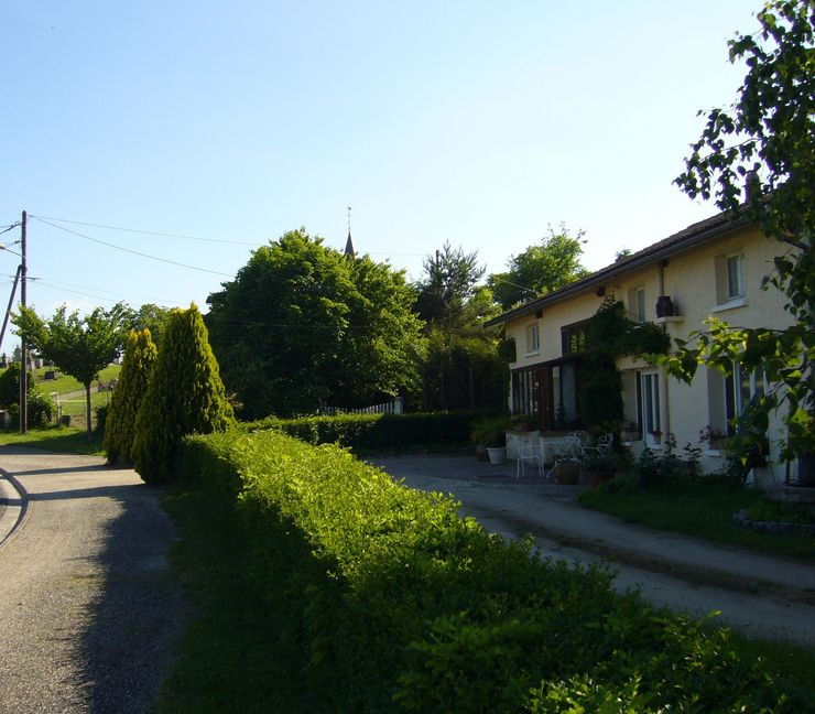 View South with the graveyard and the church behind the trees