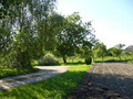 #2: View West from the closest approach on the street towards the point (50 metres to go)