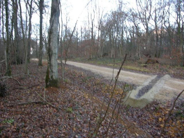 View from the confluence to the north / Blick vom Confluence Punkt nach Norden