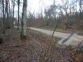 #2: View from the confluence to the north / Blick vom Confluence Punkt nach Norden