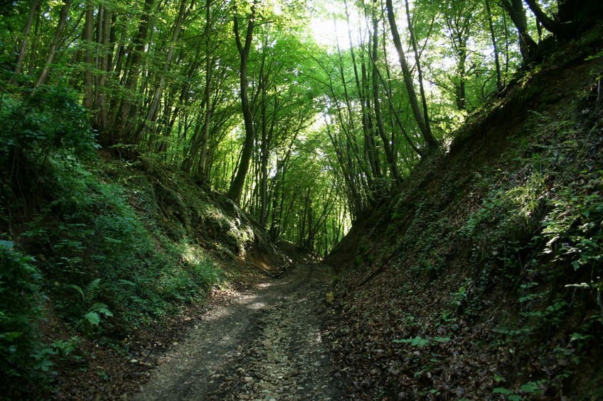 The path climbing from Bayonville to the confluence