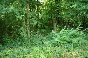 #1: The confluence point, and view to the West