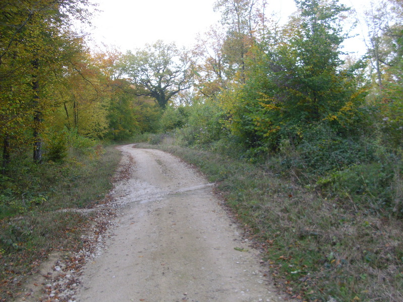 The confluence point and view to the north