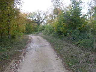 #1: The confluence point and view to the north