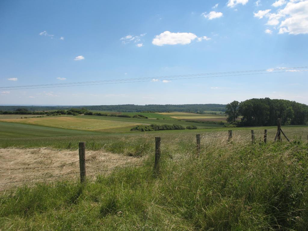 Süden; view south