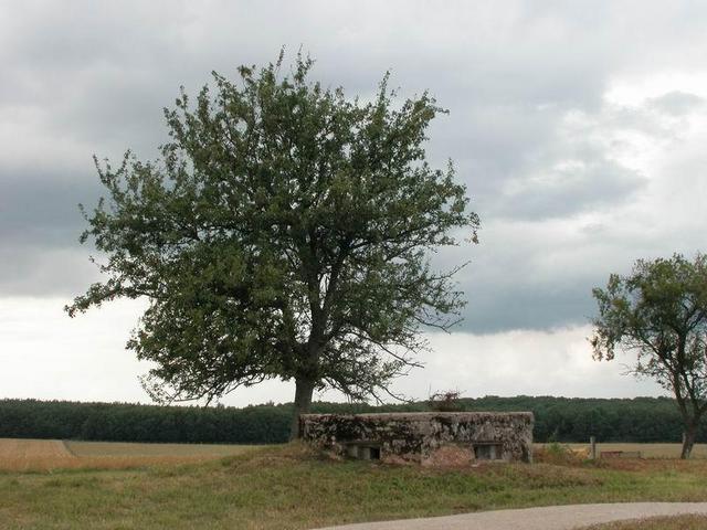 Bunkeranlage in der Nähe - Nearby bunker