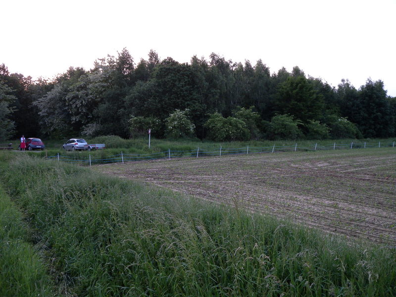 The Confluence from 50 m