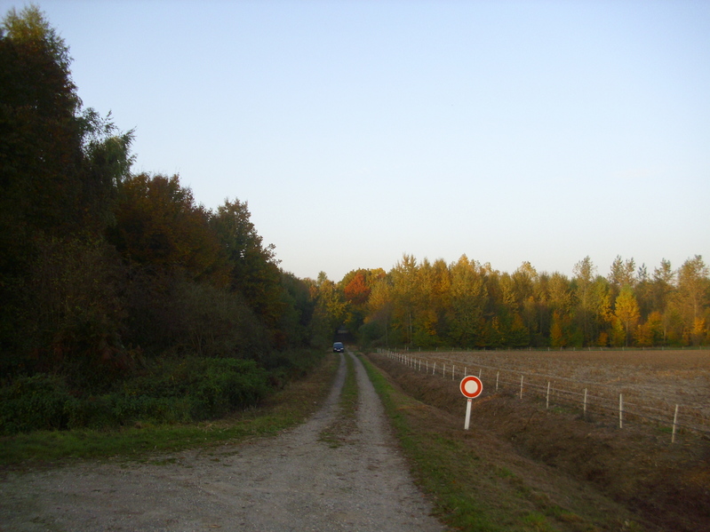 View to the north