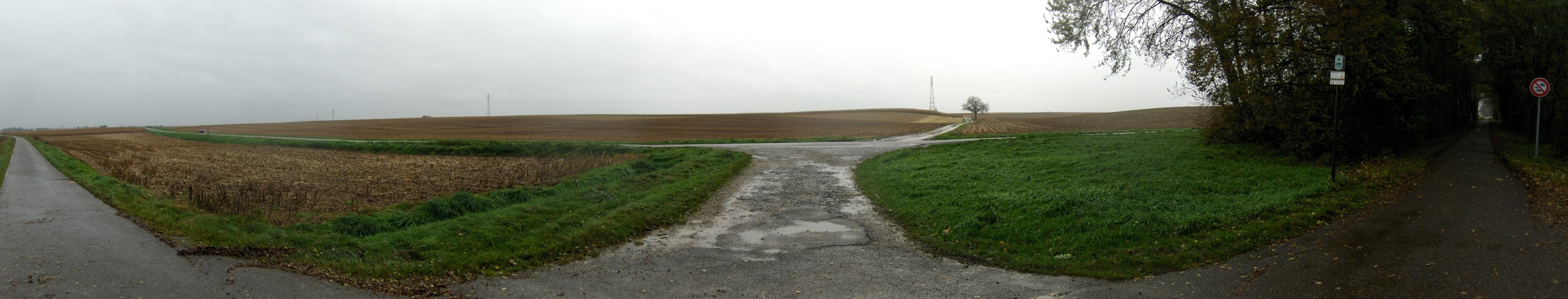 Panoramic view to south out of the forest