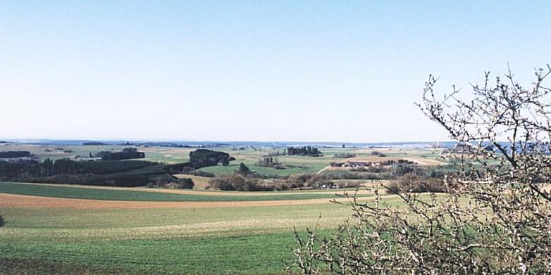 Landscape which can be seen by crossing the 'main' road