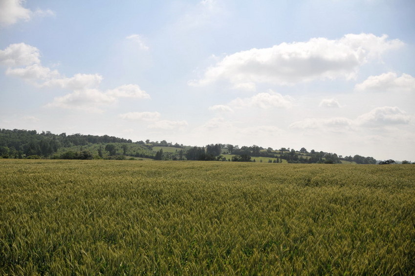 View east / Blick nach Osten