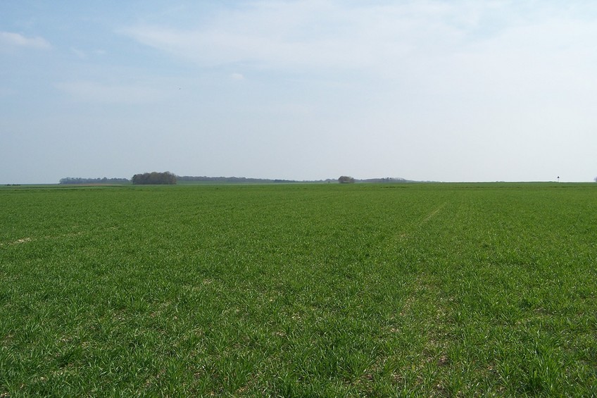 View towards S from the confluence