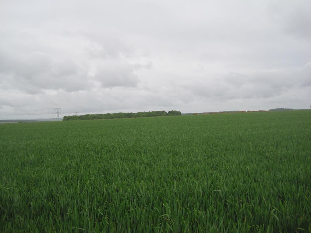 Osten; view east