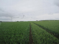 #3: Süden; view south