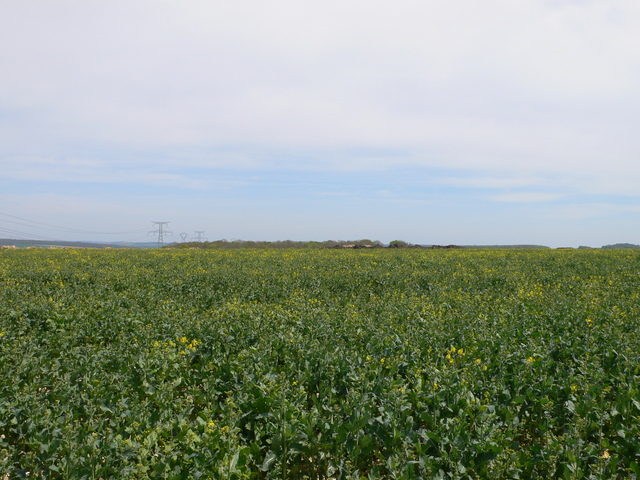 Looking East from N50 E2