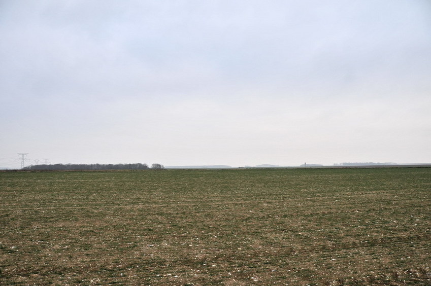 View north / Blick nach Norden