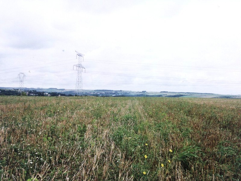 Looking North, with Confluence 50°N 2°E in the foreground