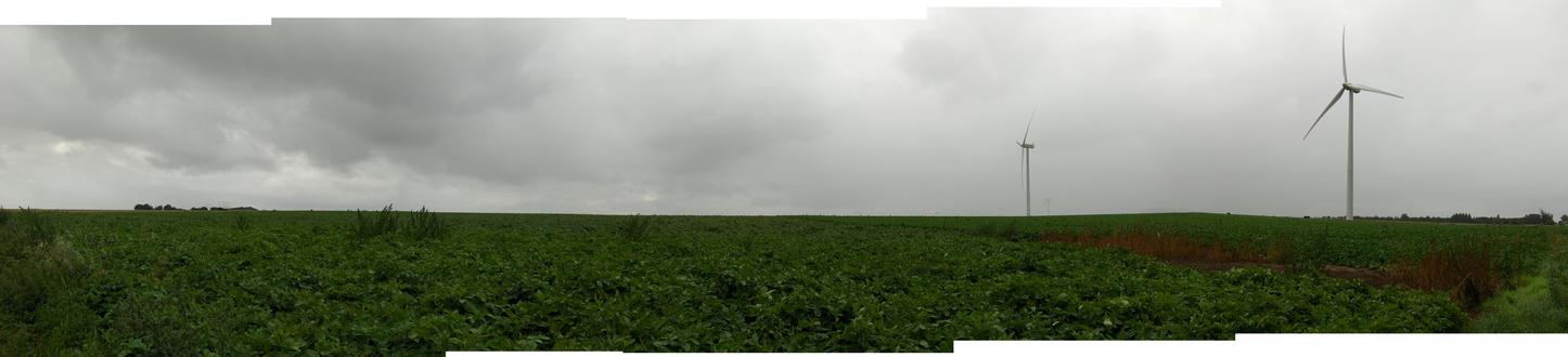 PANORAMIC VIEW AT 250 MTS SOUTH CP