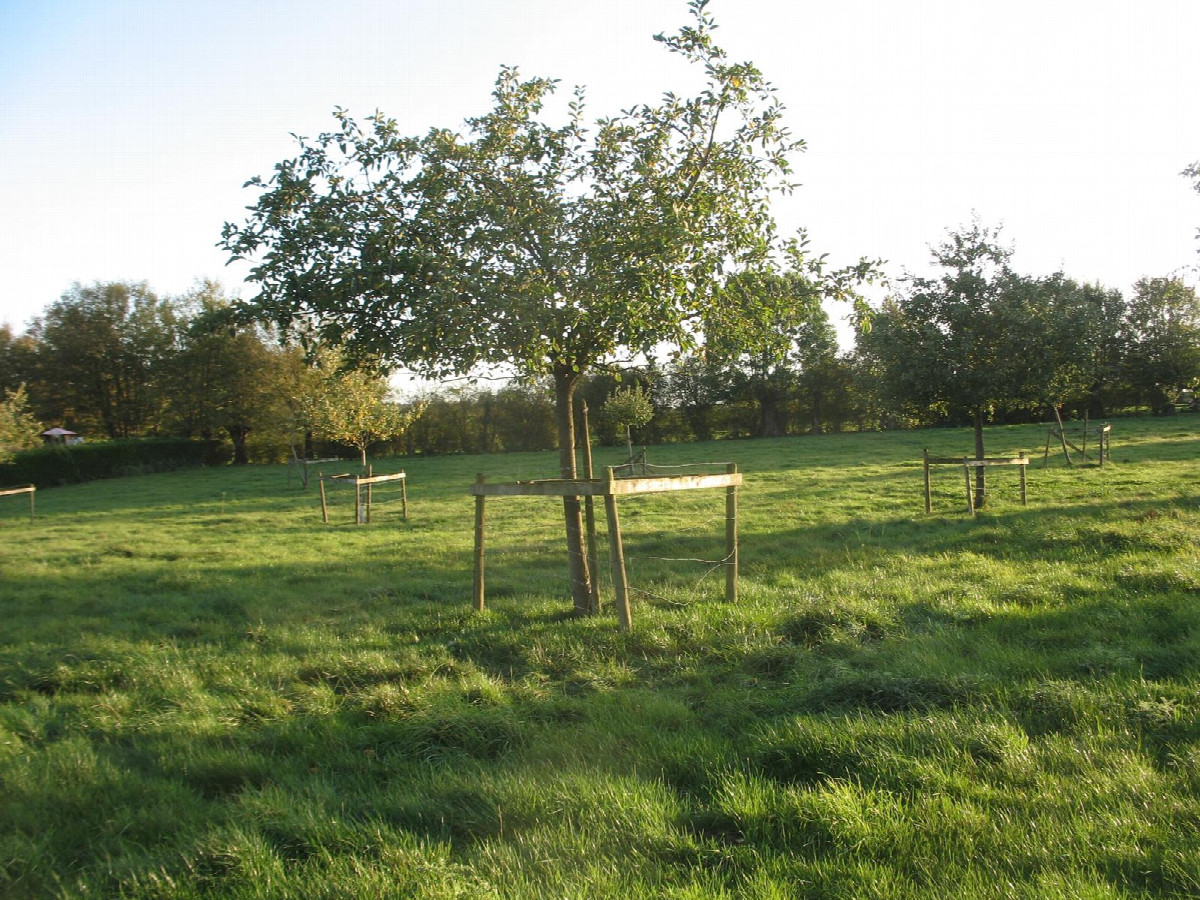 Süden; view south